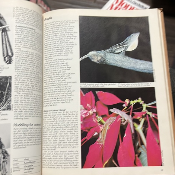 Hard cover Wildlife Encyclopedia VOL 1
By: Funk and Wagnalls Vintage 1974 print - Picture 4 of 4